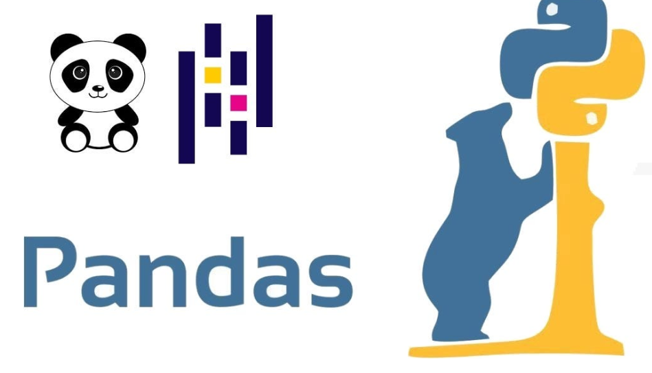pandas