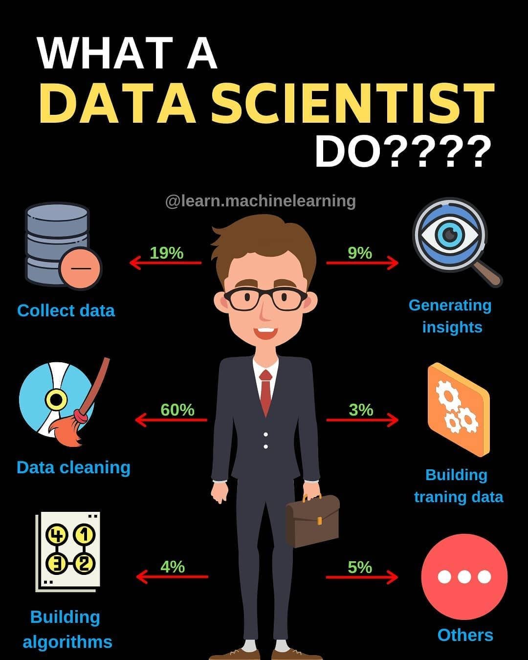 What Data Scientist Do?